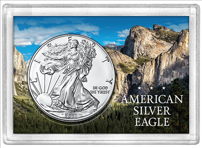 American Silver Eagle single coin frosty case,Yosemite background.
