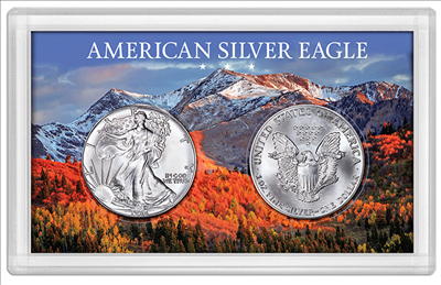 American Silver Eagle dolloar 2-coin frosty case with snowy mountain background